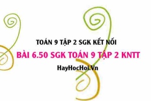 Bài 6.50 SGK Toán 9 tập 2 Kết nối tri thức